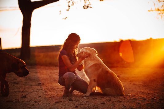 Woman gently petting her dog in a peaceful outdoor setting with trees and flowers, symbolising love and remembrance of a pet