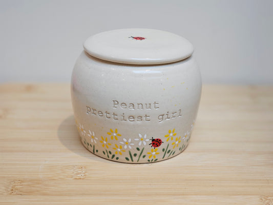 Handmade ceramic pet urn with white and yellow daisies and ladybug on the lid – personalised memorial made in the UK