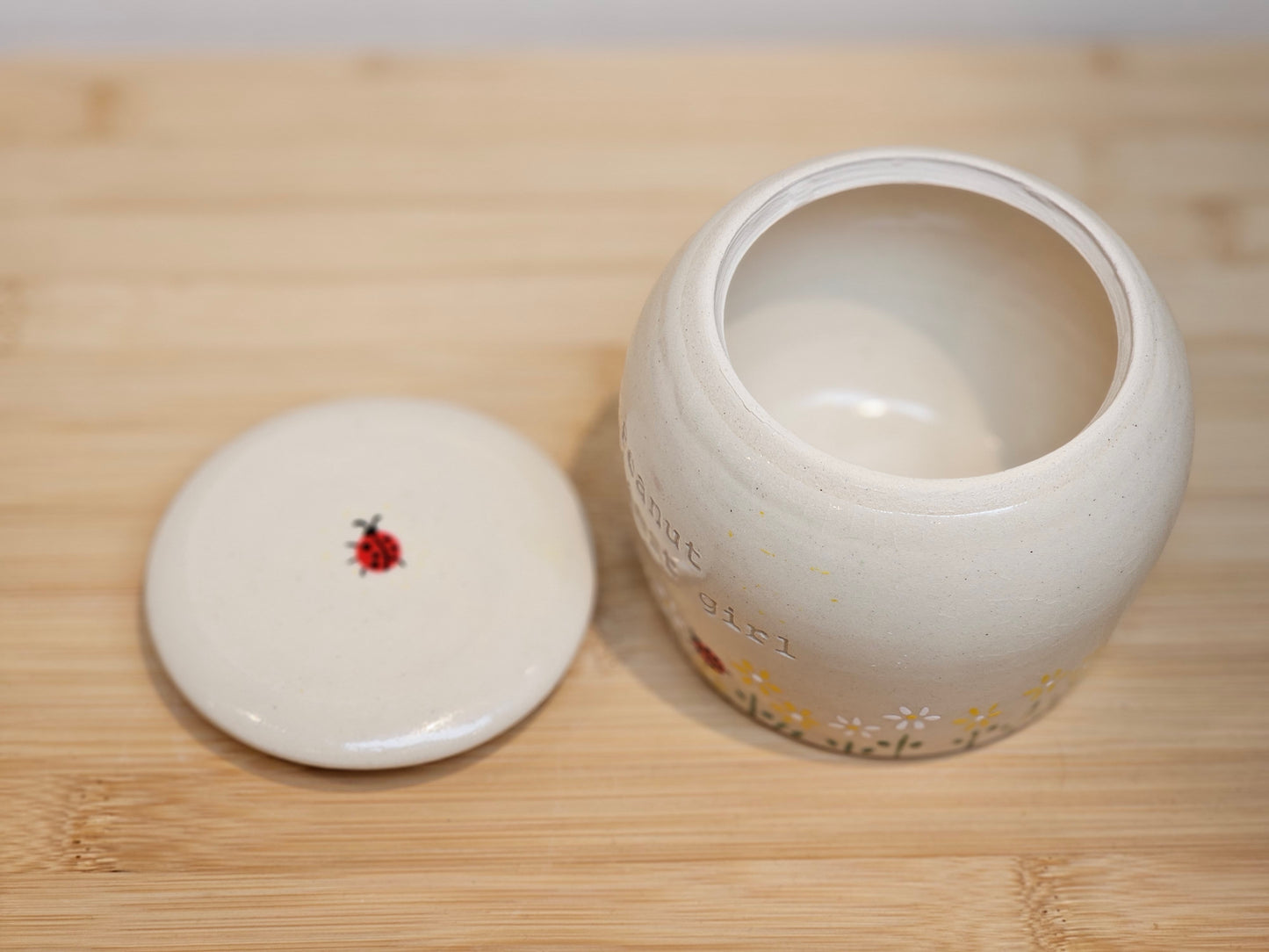 Personalised ceramic pet cremation urn with daisy artwork and ladybug detail – handmade in UK studio