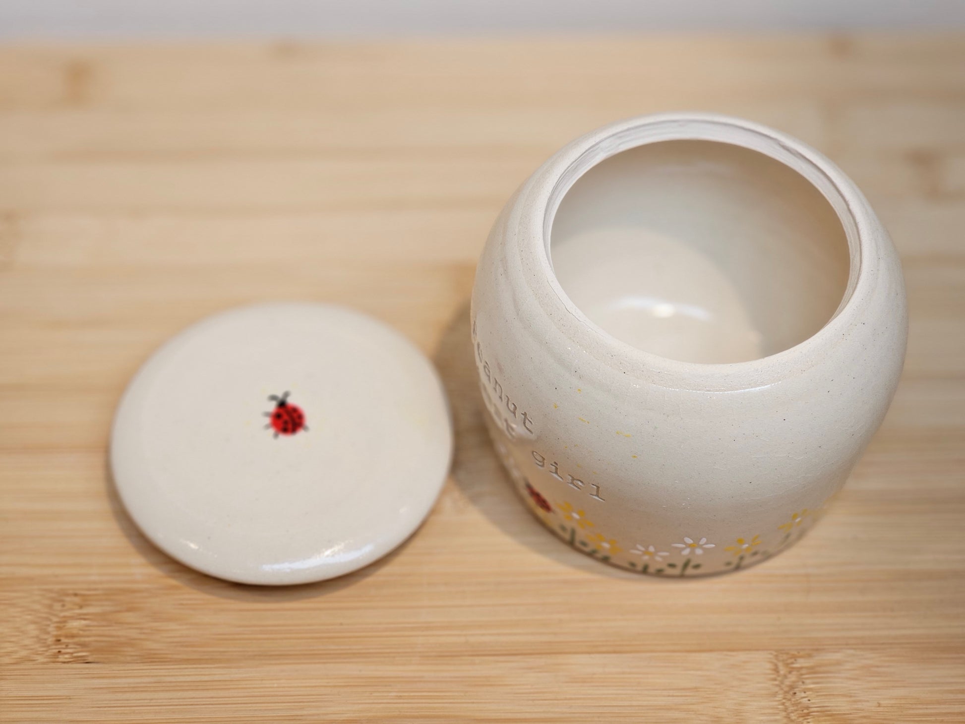 Personalised ceramic pet cremation urn with daisy artwork and ladybug detail – handmade in UK studio