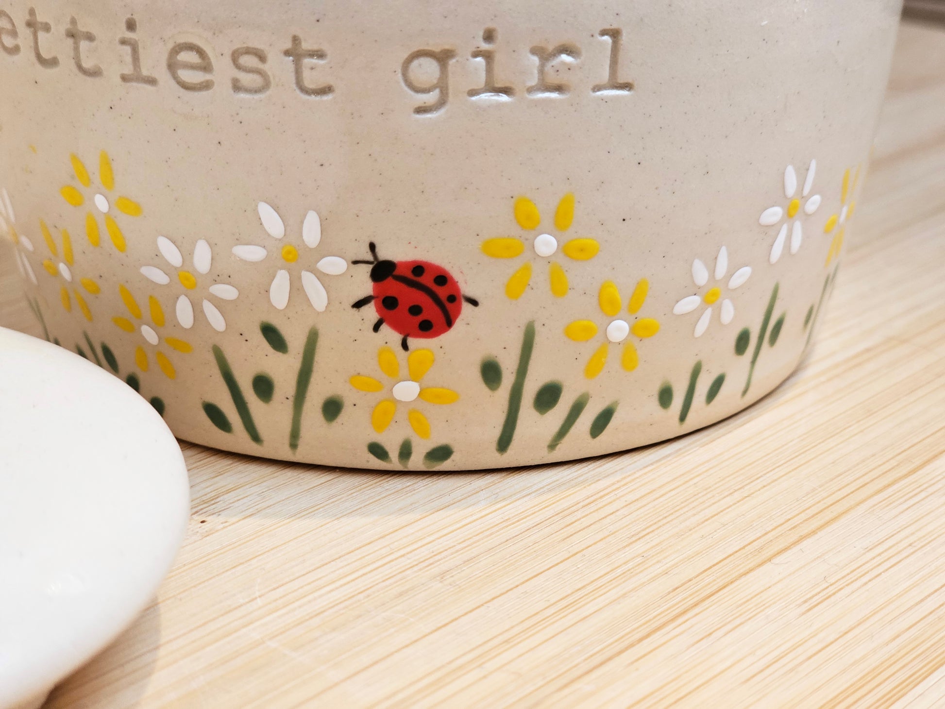 Beautiful daisy and ladybug pet urn for ashes, bespoke hand-painted ceramic urn for pets